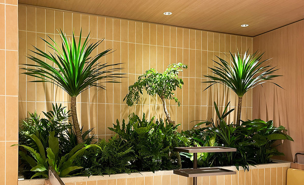 绿植造景