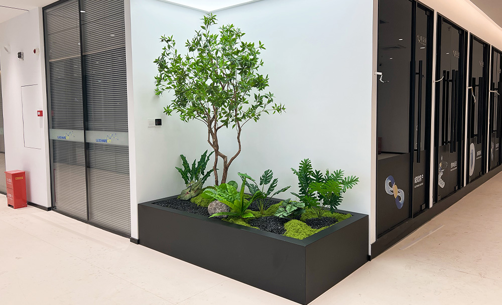绿植造景