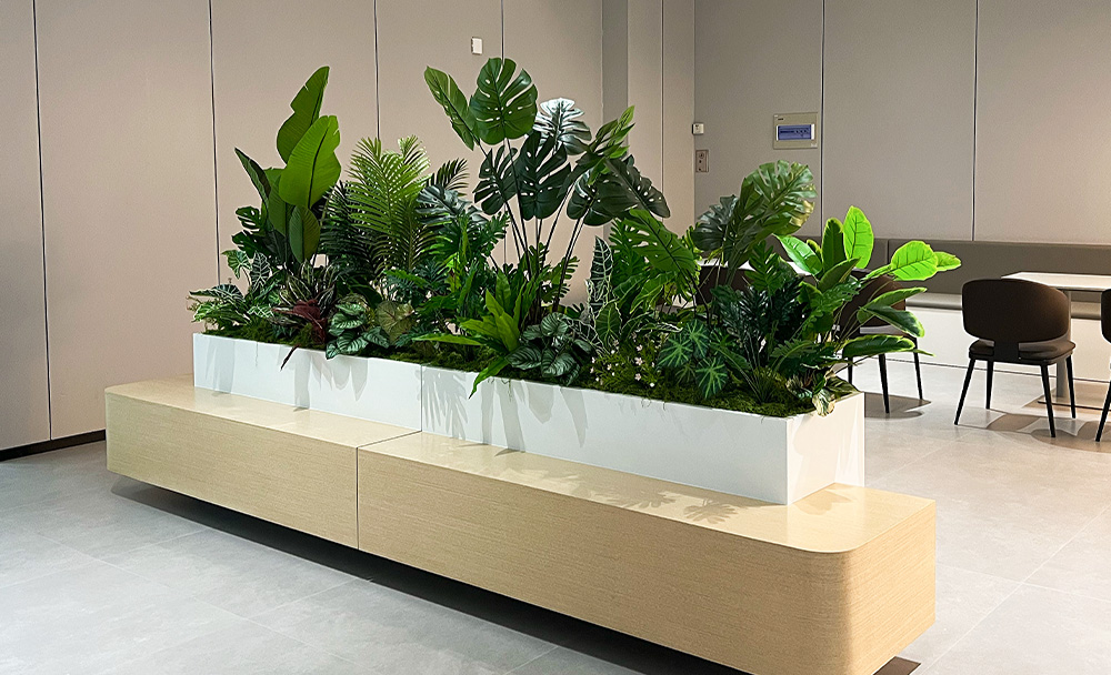 绿植租赁