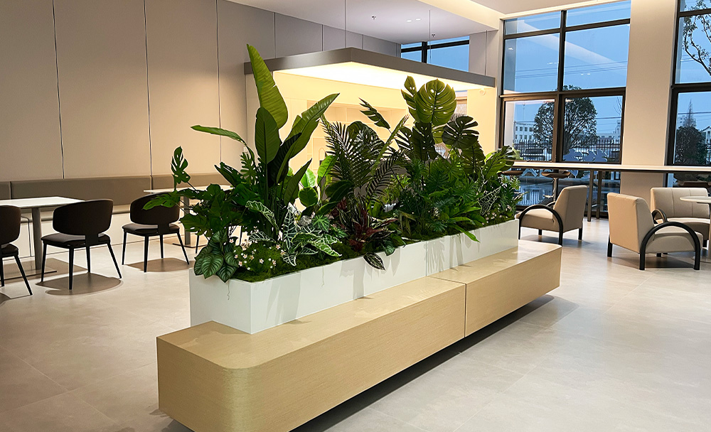 绿植租赁