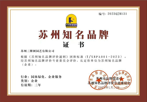 CE Certificate