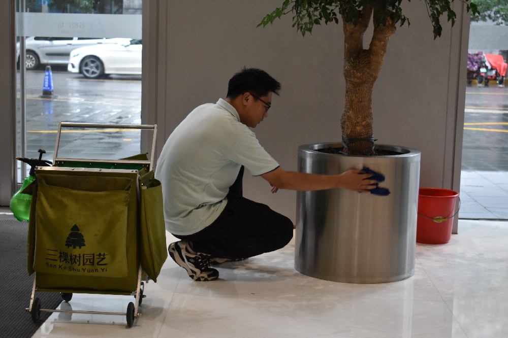 企业绿植租赁如何甄选优质服务商？标准化工装与专属服务车辆至关重要