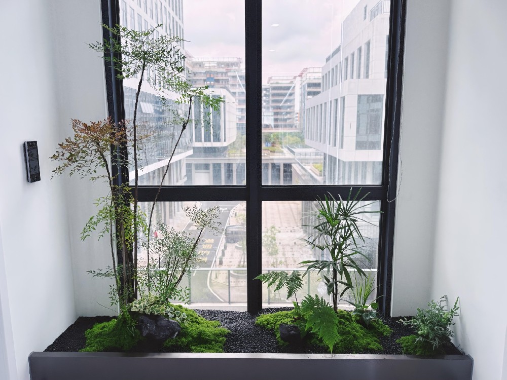 上海城市空间仿真植物布置应用分析：长效景观，适配都市高阶审美