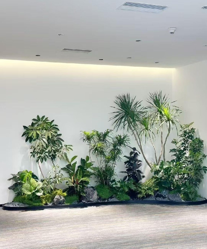 苏州绿植租摆哪家靠谱？专业企业绿植租赁优选｜苏州三棵树园艺有限公司