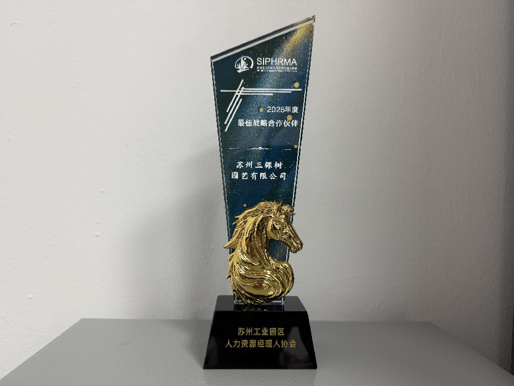 携手权威平台，共筑行业标杆——苏州三棵树园艺荣膺苏州工业园区人力资源经理人协会（SIPHRMA）“2025年度最佳战略合作伙伴”