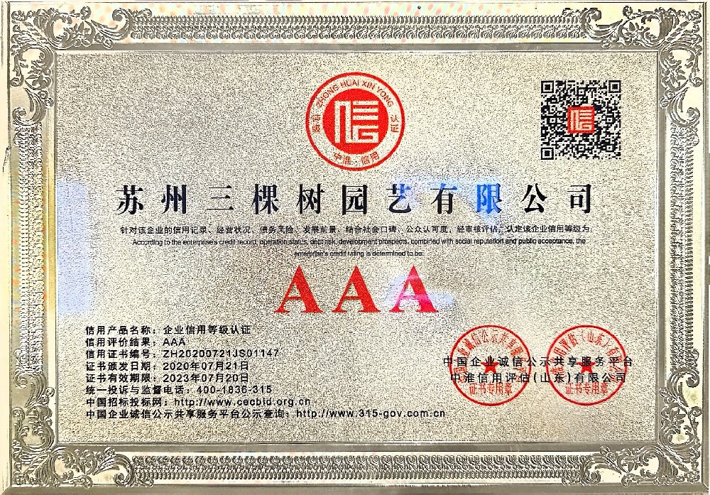 3A资质