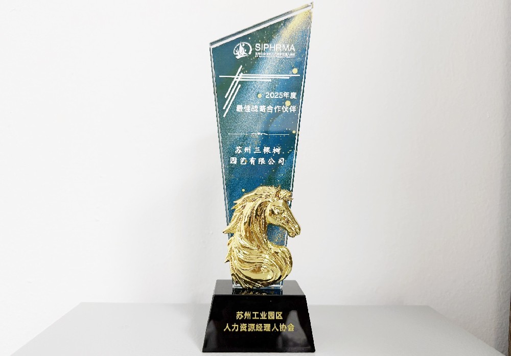 战略合作伙伴