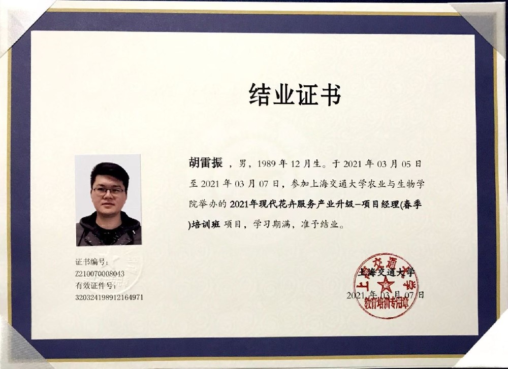 以资质立标准，以专业筑精品｜三棵树园艺七大专业资质赋能仿真植物软装工程
