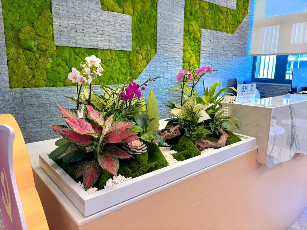 LOGO前台绿植布置