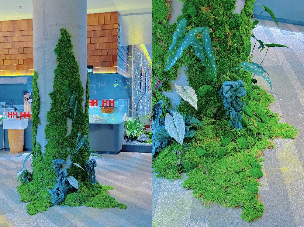 承重柱植物墙