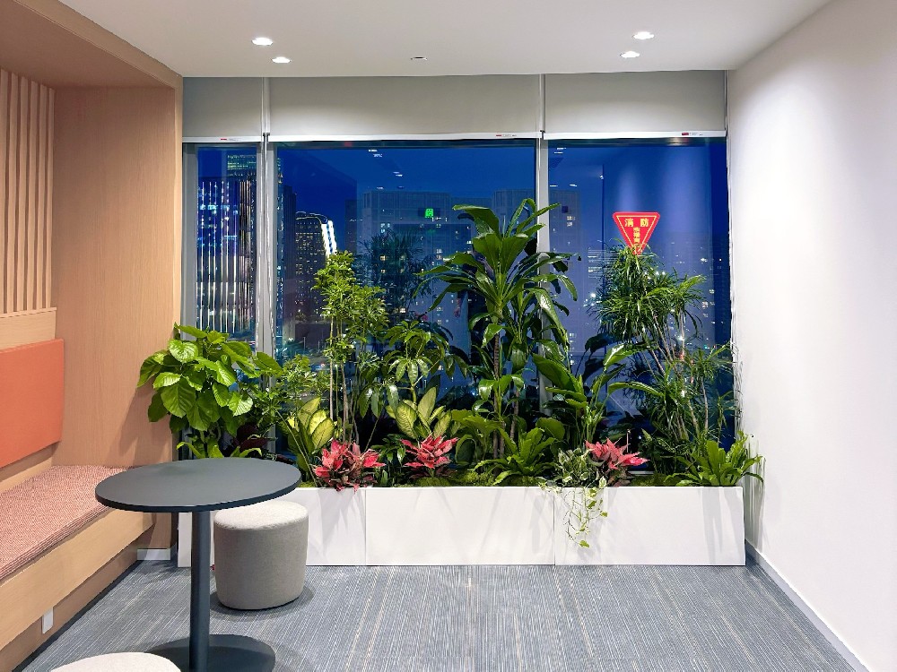 室内真植物花箱