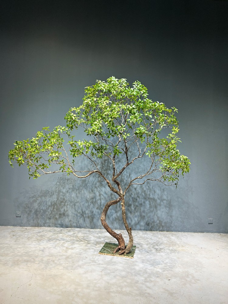 仿真绿植源头厂家一站式服务｜苏州三棵树园艺：现货批发、全国发货、全域上门施工
